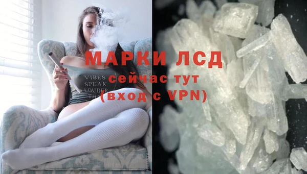 мяу мяу мука Михайловск