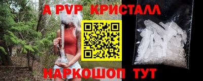 МДПВ Камышлов