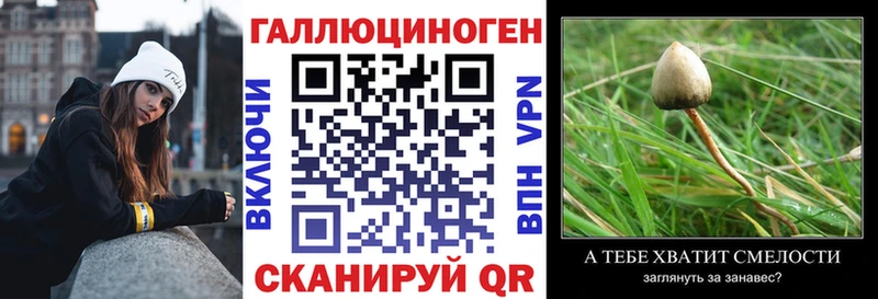 Галлюциногенные грибы Psilocybine cubensis  что такое наркотик  Сызрань 