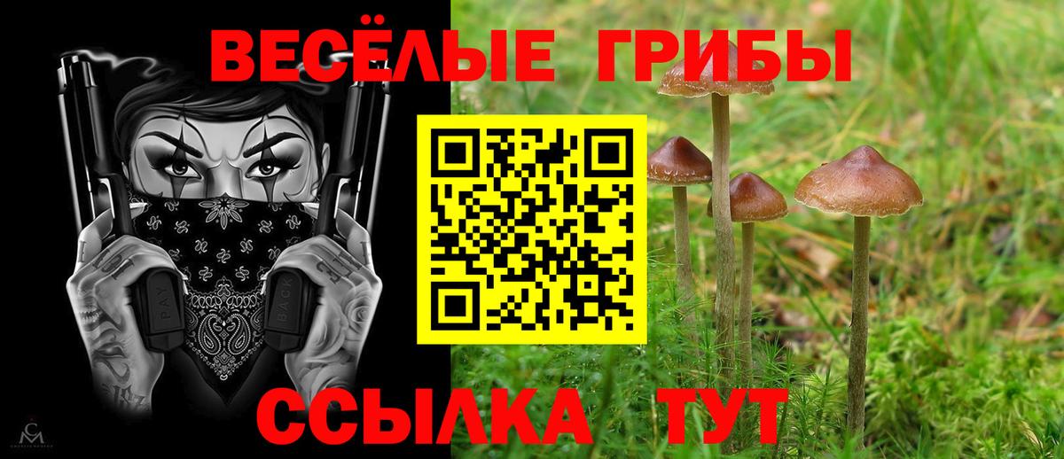 Галлюциногенные грибы GOLDEN TEACHER Сызрань