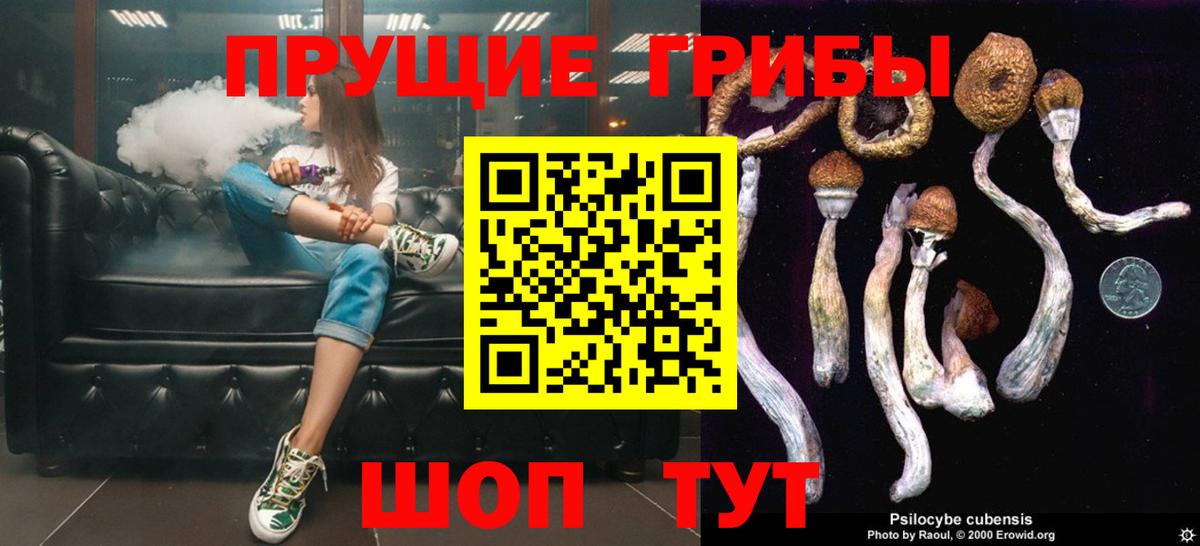Галлюциногенные грибы Magic Shrooms  Вход с VPN  Псилоцибиновые грибы Psilocybe  Сызрань 